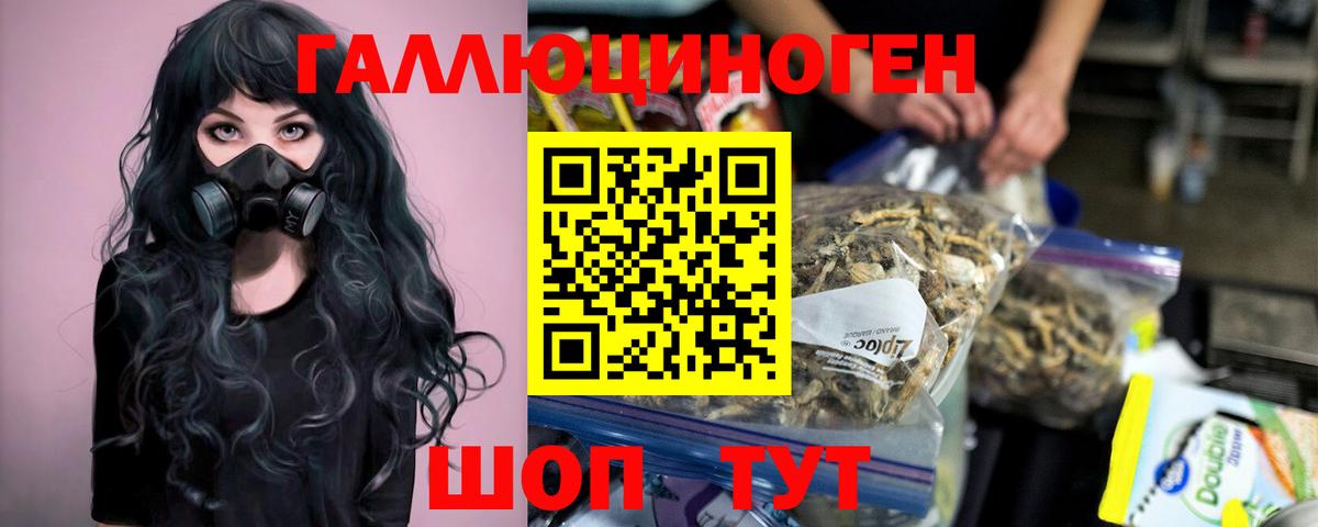Галлюциногенные грибы GOLDEN TEACHER  Галлюциногенные грибы GOLDEN TEACHER  Егорьевск  Вход с VPN 
